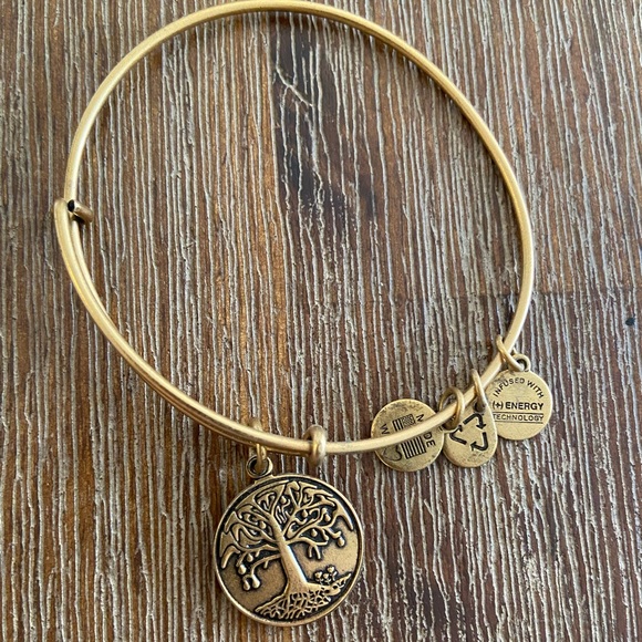 Alex and Ani bracelets - Picture 3 of 4